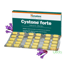 Cystone Forte, 60 tabletas