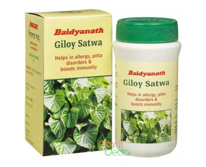 Giloy Satva Baidyanath, 40 gramoss