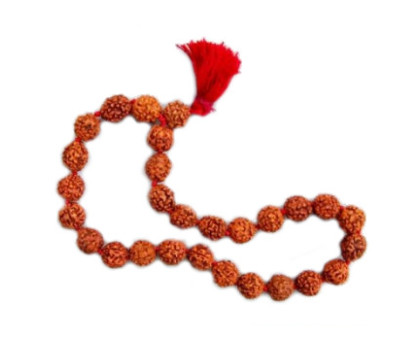 Rudraksha bracelet small, 27 beads